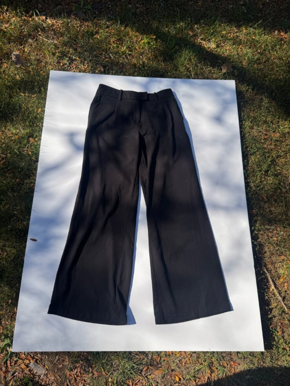 American Eagle Modern Wide Leg Trousers